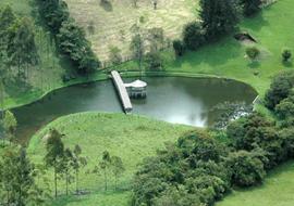 guatica1.jpg