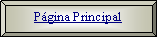 Bisel: Pgina Principal