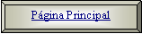 Bisel: Pgina Principal