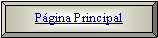 Bisel: Pgina Principal